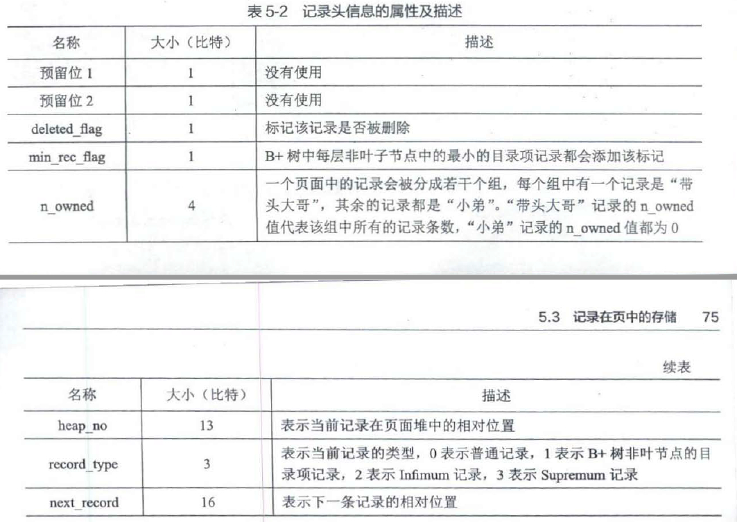 数据页记录头信息的属性及描述