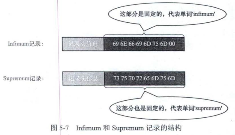 虚拟记录结构示意图