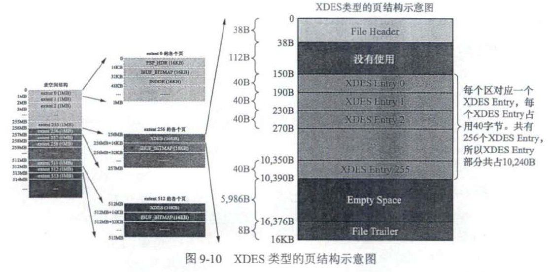 XDES类型的页结构示意图