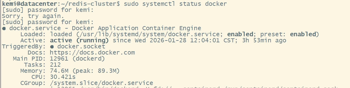 docker_status