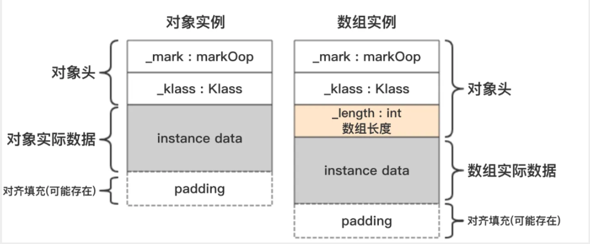数组类型对象头