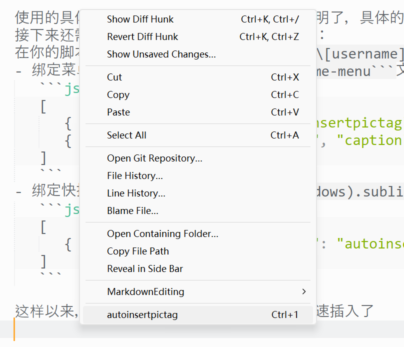 一个插件示意图